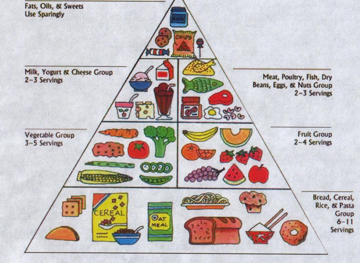 Food Pyramid Servings